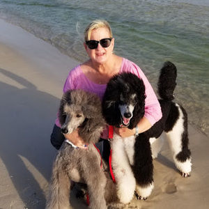 Meet your Posher, Victoria